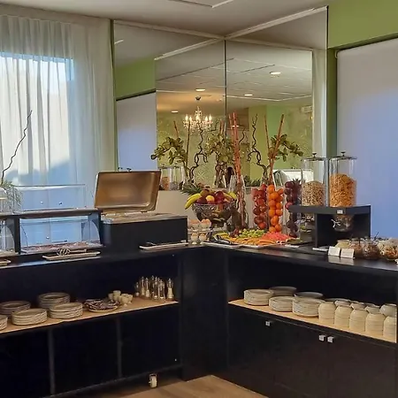 普契尼酒店 3* 佩斯基耶拉德加达